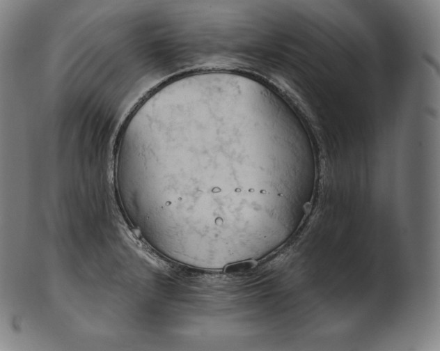 X0000101211232200807111025