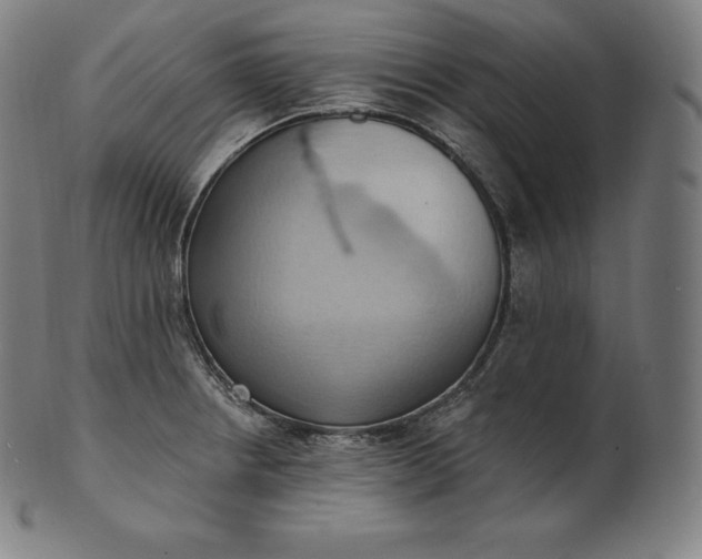 X0000101211234200807111025