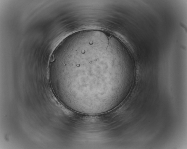 X0000101211236200807111025