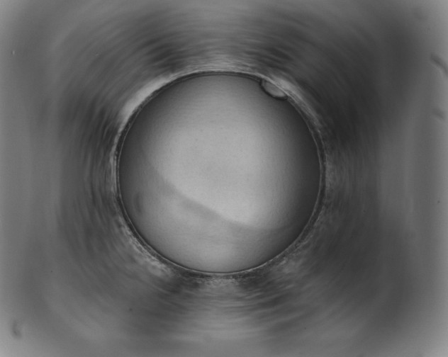 X0000101211238200807111025