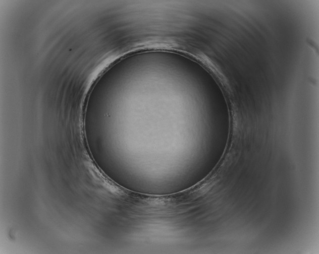 X0000101211240200807111026