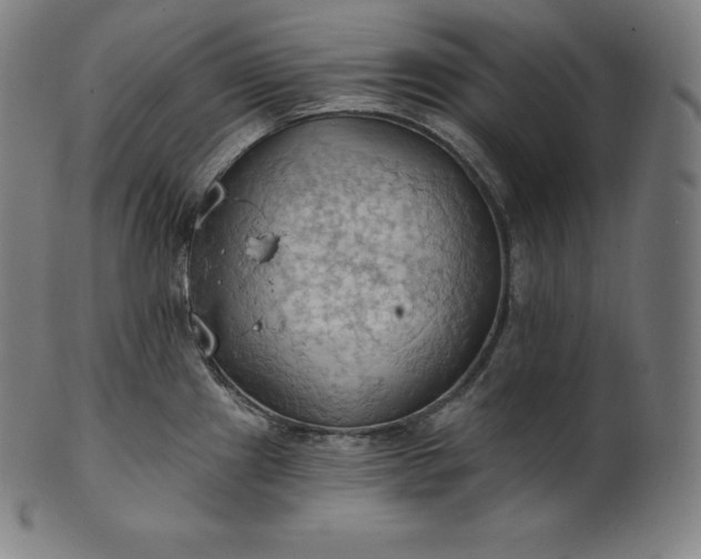 X0000101211241200807111026