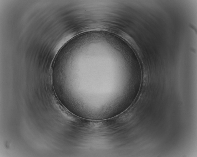 X0000101211242200807111026