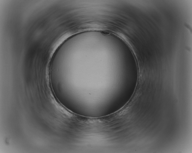 X0000101211243200807111026