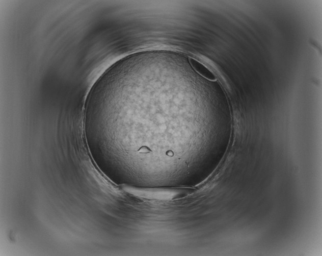 X0000101211244200807111026