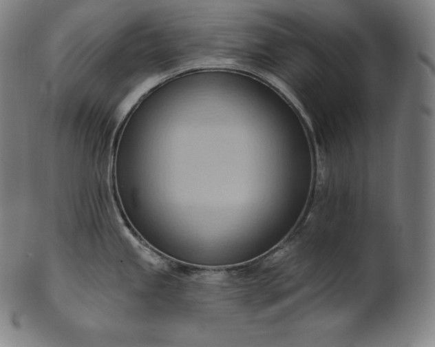 X0000101211245200807111026