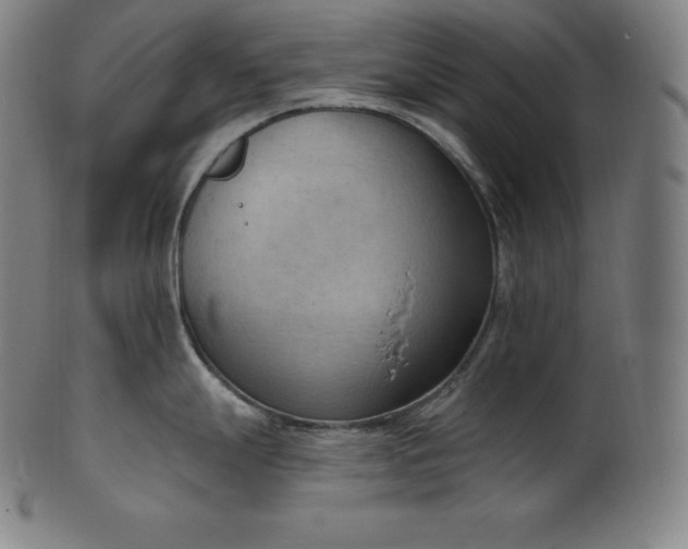 X0000101211247200807111026