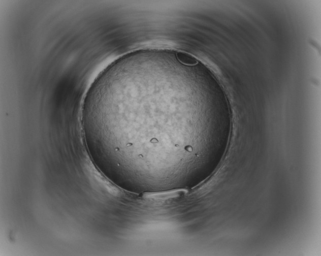 X0000101211248200807111026