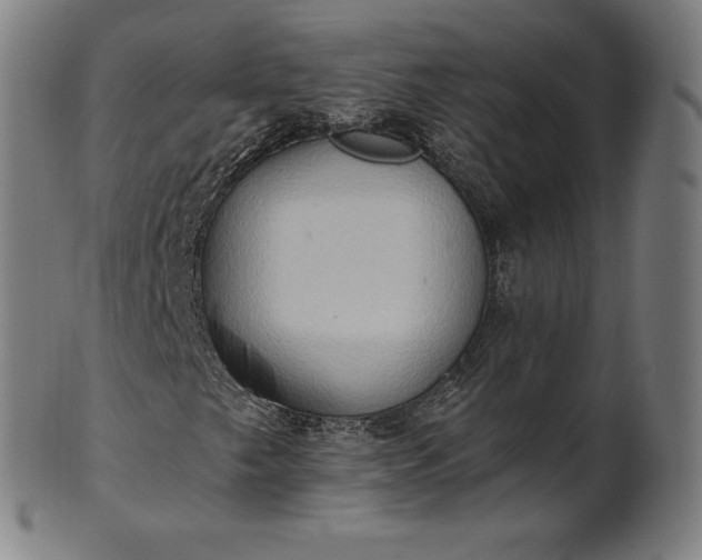 X0000101211249200807111025