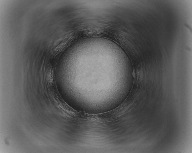 X0000101211250200807111025