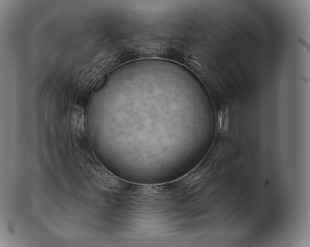 X0000101211251200807111025