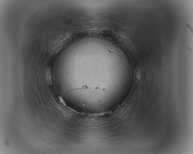 X0000101211252200807111025