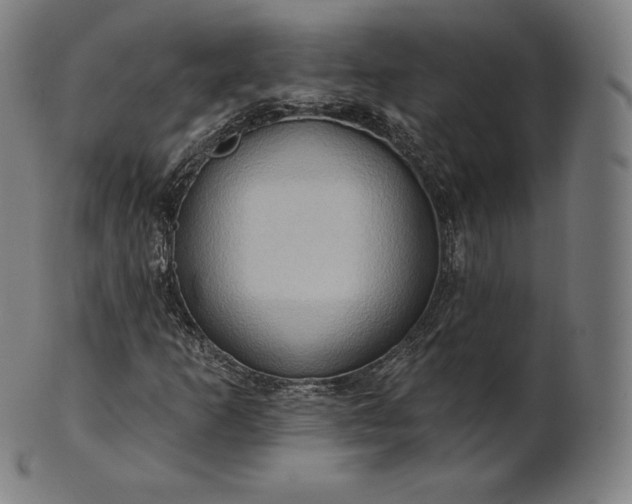 X0000101211253200807111025