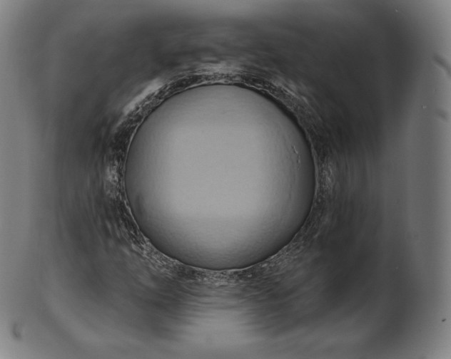 X0000101211254200807111025