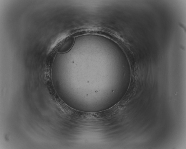 X0000101211255200807111025