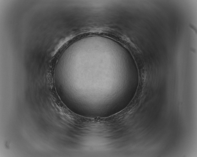 X0000101211256200807111025