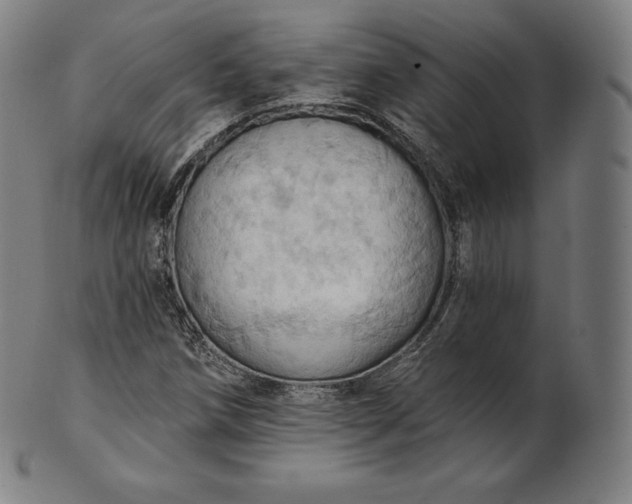 X0000101211258200807111025