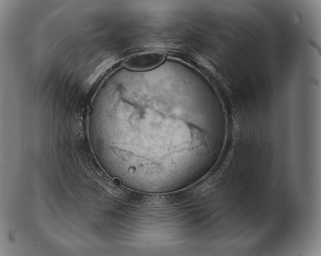 X0000101211259200807111025