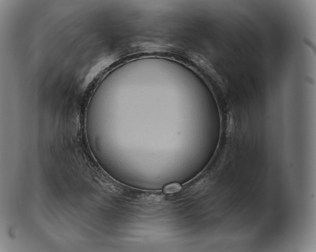 X0000101211261200807111025