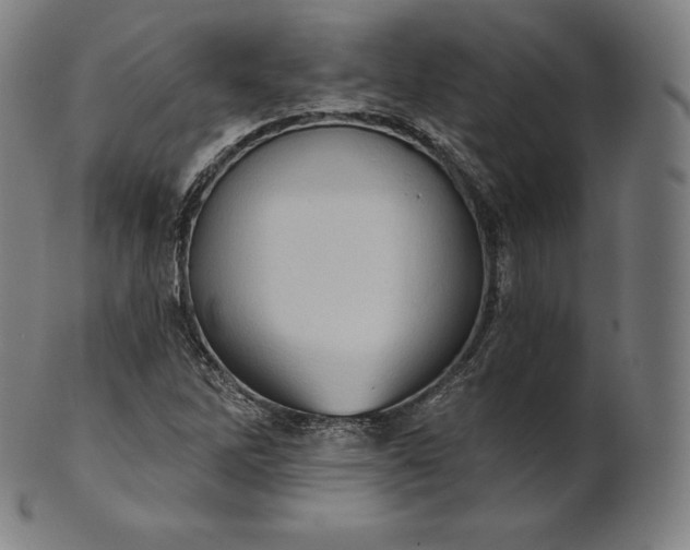 X0000101211262200807111025