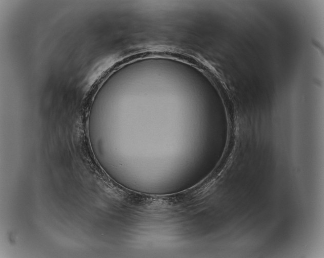 X0000101211263200807111025