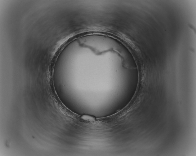 X0000101211264200807111025