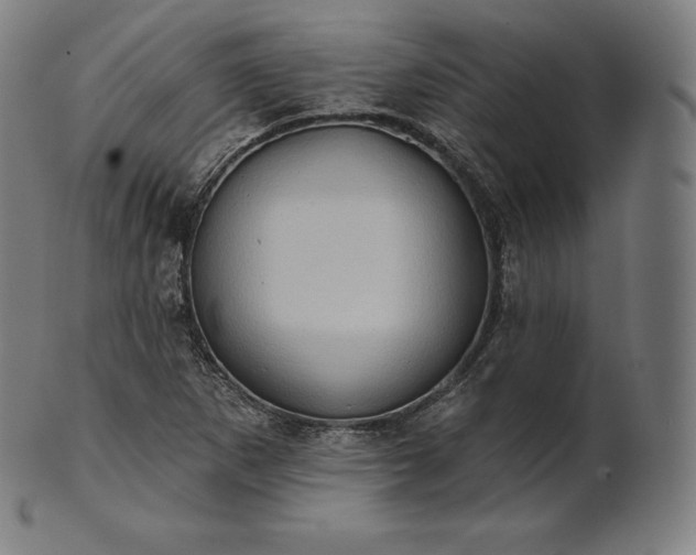 X0000101211265200807111025