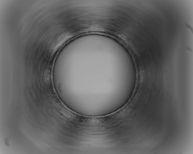 X0000101211266200807111024