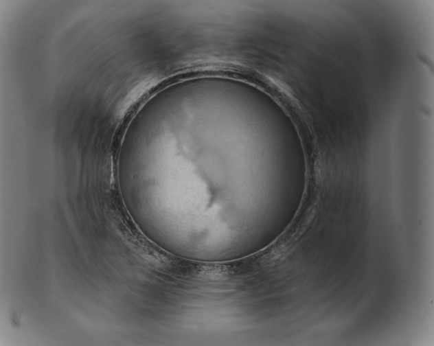 X0000101211267200807111024