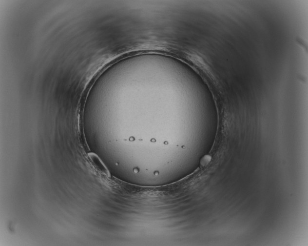 X0000101211268200807111024