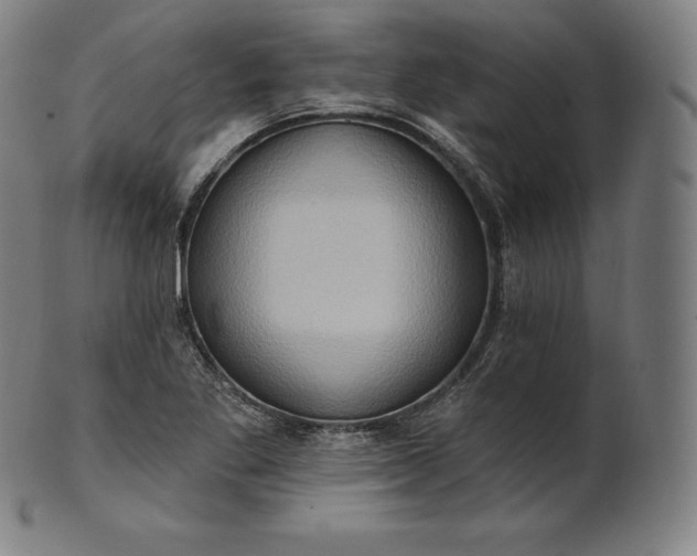 X0000101211269200807111024