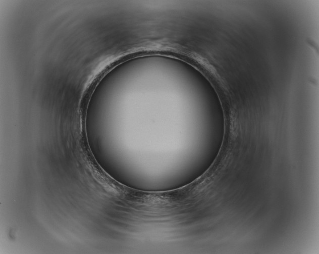 X0000101211270200807111024