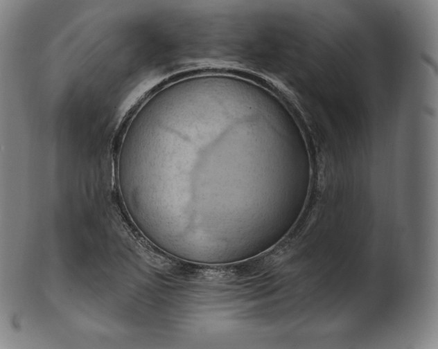 X0000101211271200807111024