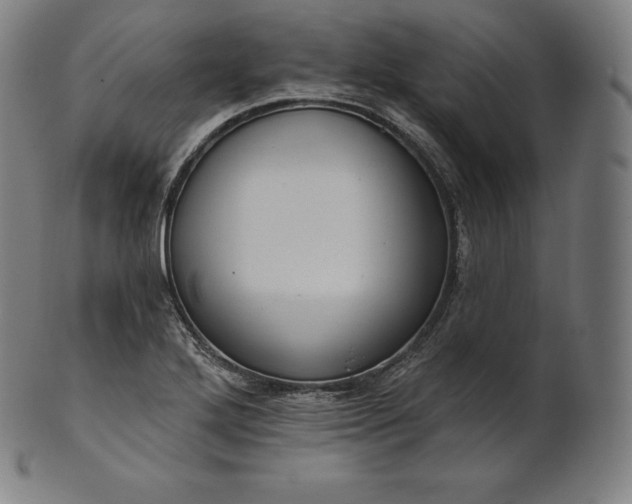 X0000101211272200807111024