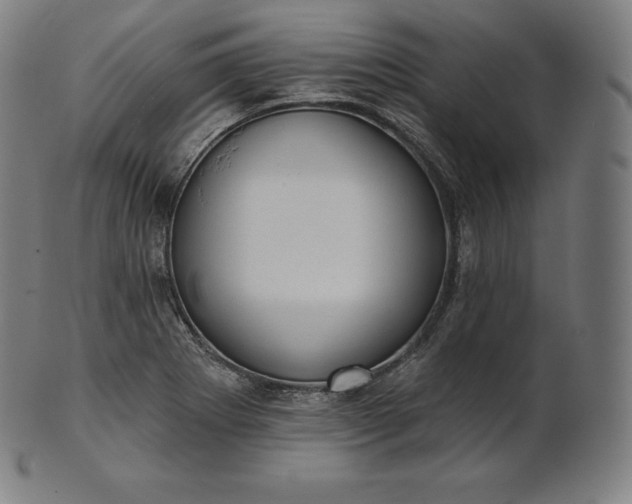 X0000101211273200807111024