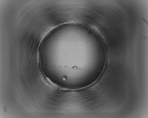 X0000101211276200807111024