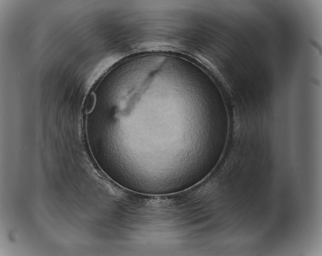 X0000101211277200807111024