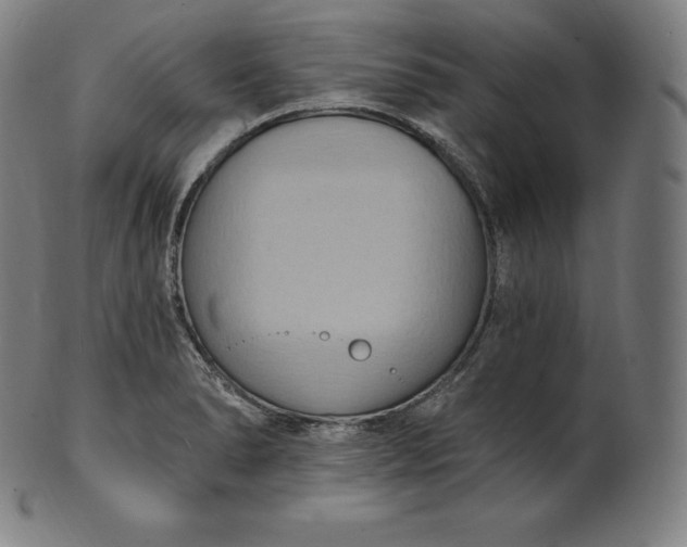 X0000101211278200807111024