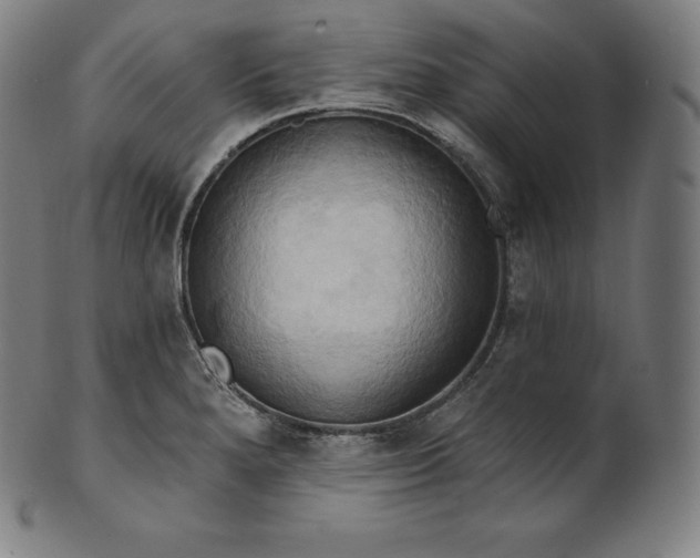 X0000101211280200807111024