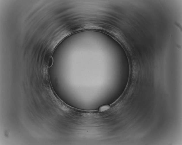 X0000101211281200807111024