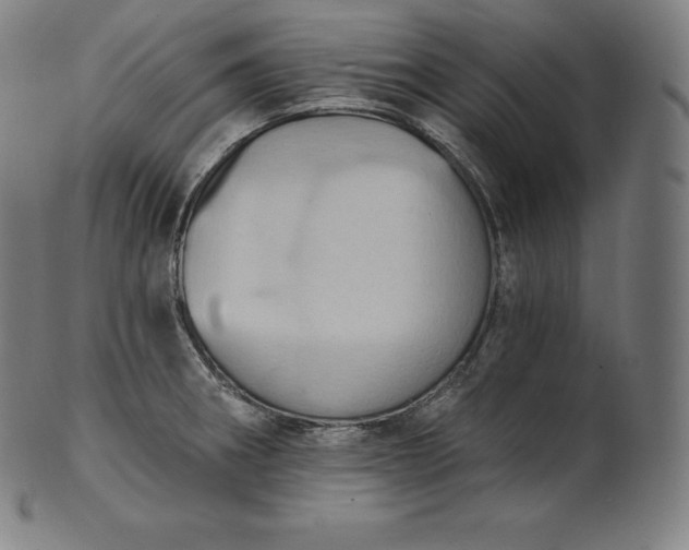 X0000101211282200807111024