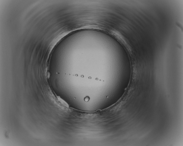 X0000101211284200807111024