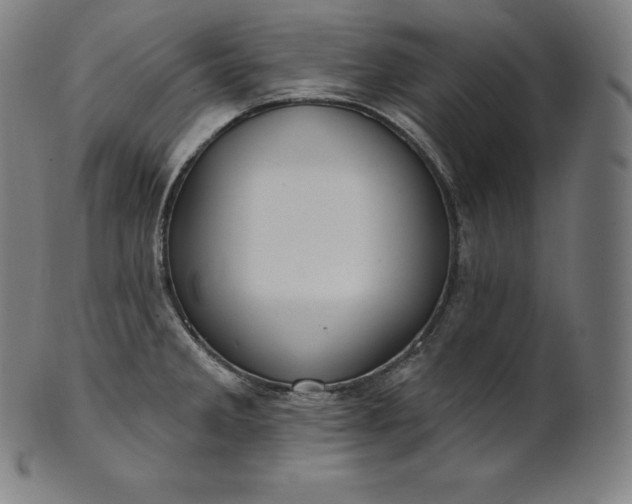 X0000101211285200807111024