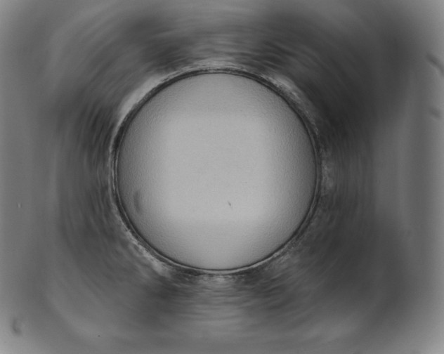 X0000101211286200807111024