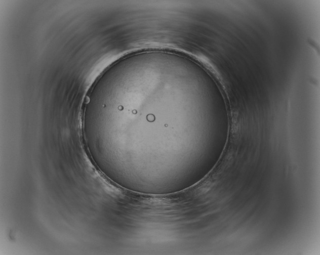 X0000101211287200807111024