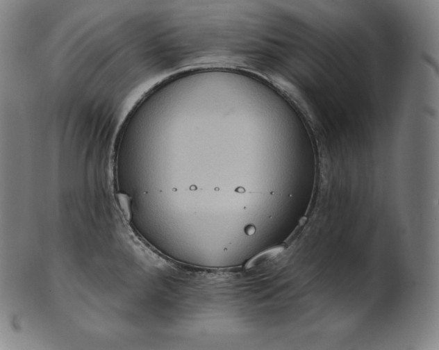 X0000101211288200807111024