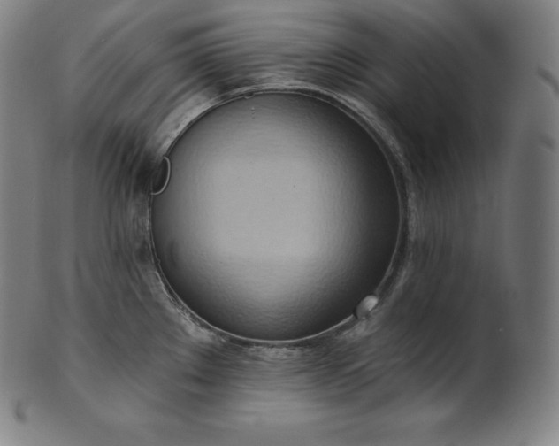 X0000101211289200807111024