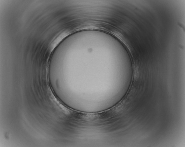 X0000101211290200807111024