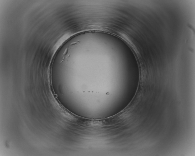 X0000101211291200807111024