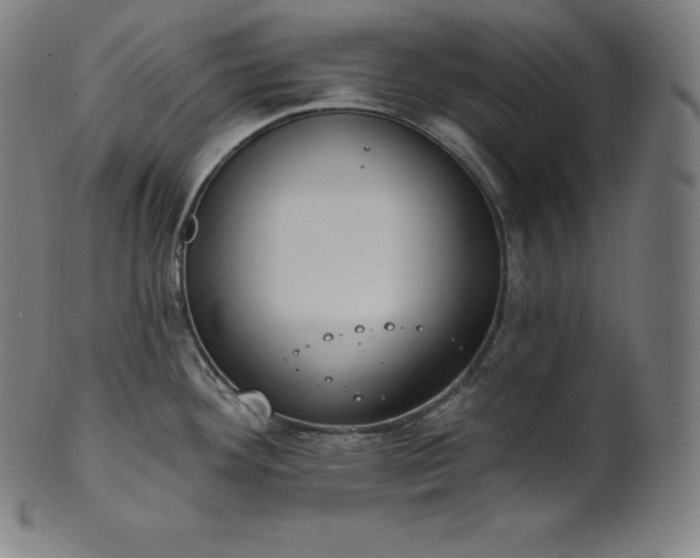 X0000101211292200807111024